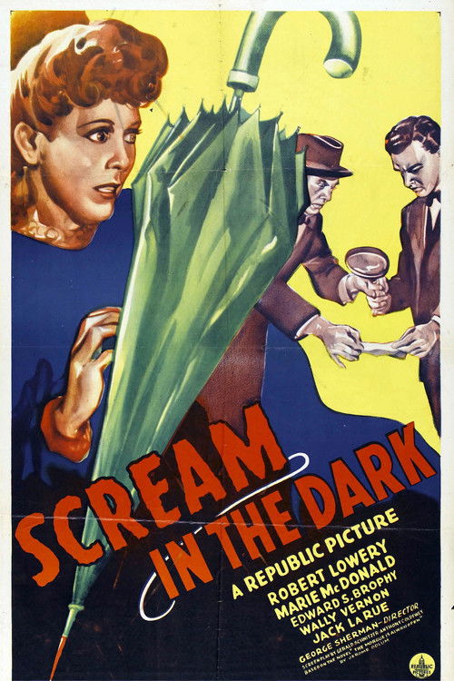 A Scream in the Dark official trailer poster