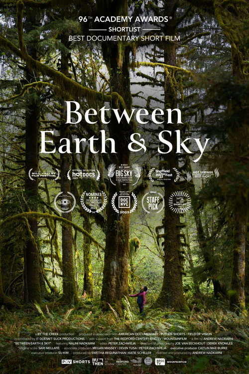 Between Earth & Sky official trailer poster