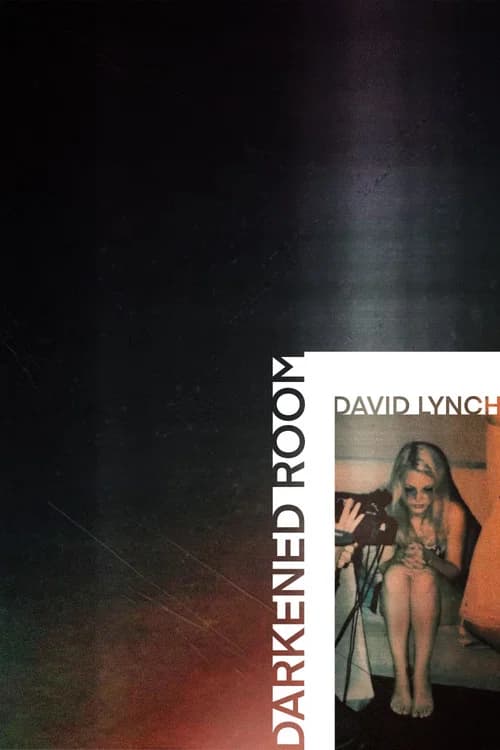 Darkened Room official trailer poster