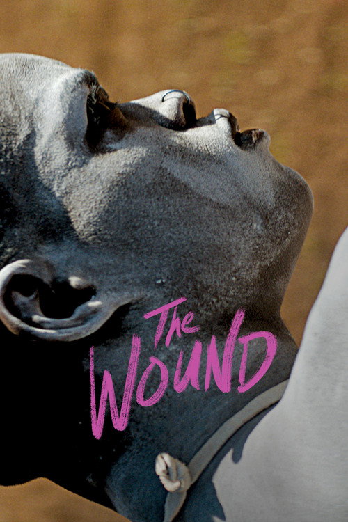 The Wound official trailer poster