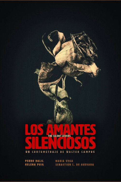 The Silent Lovers official trailer poster