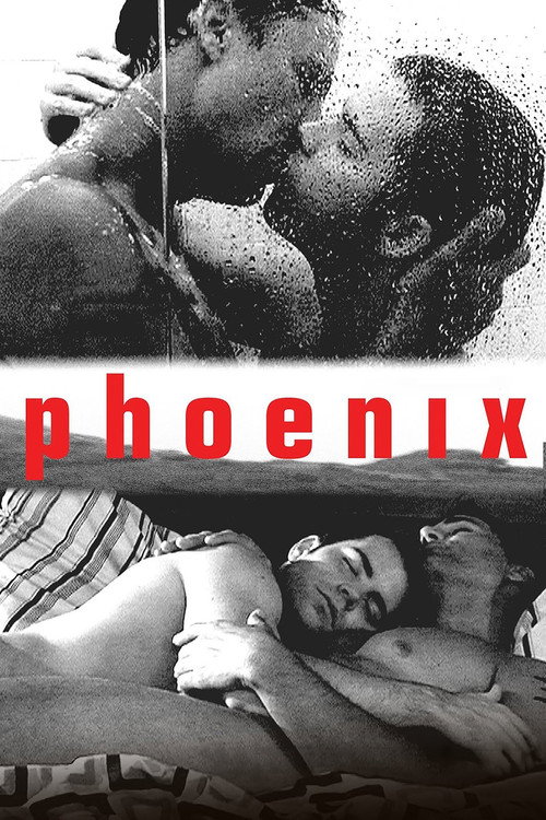 Phoenix official trailer poster