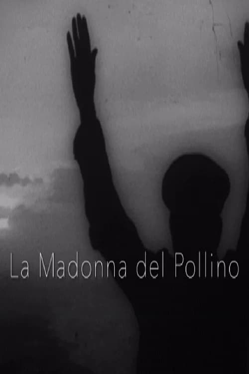 La Madonna del Pollino official trailer poster