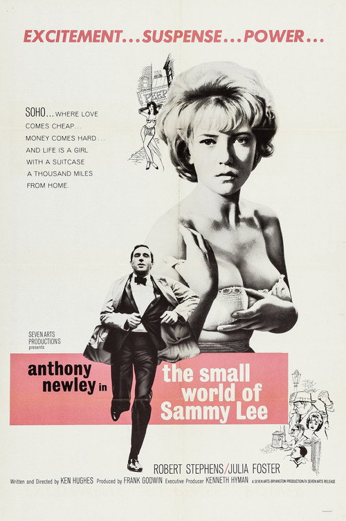 The Small World of Sammy Lee official trailer poster