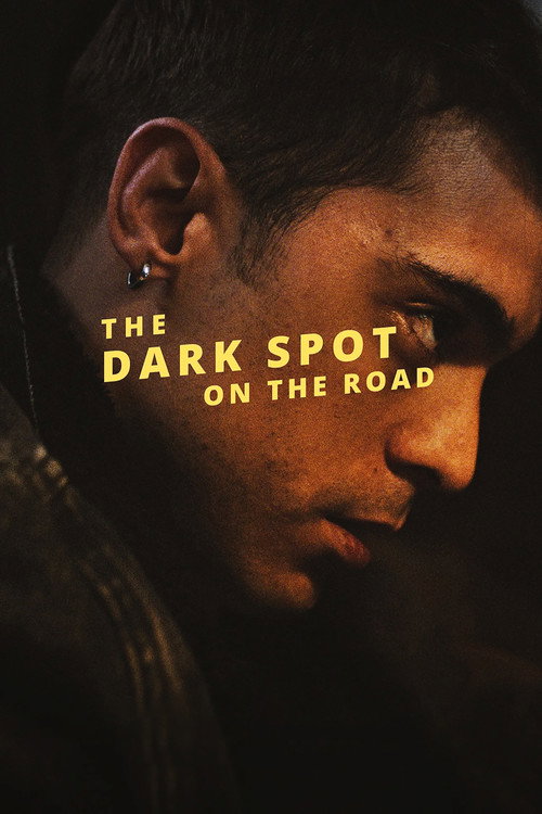 The Dark Spot on the Road official trailer poster