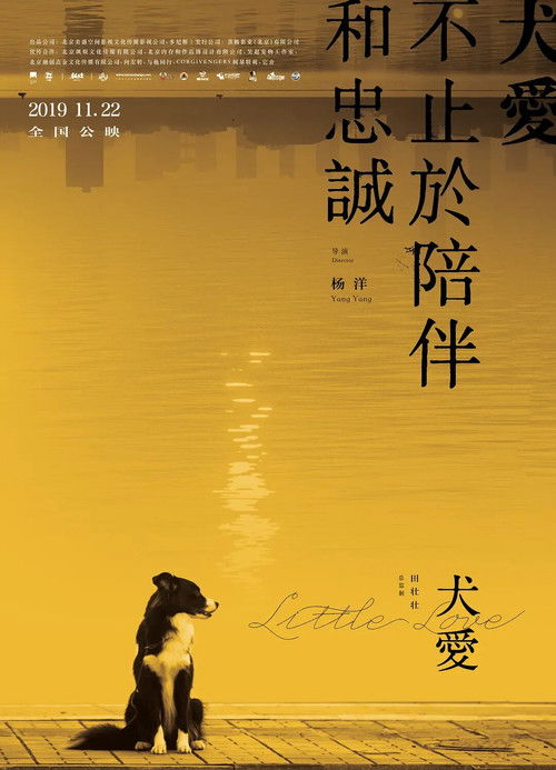 Little Love official trailer poster