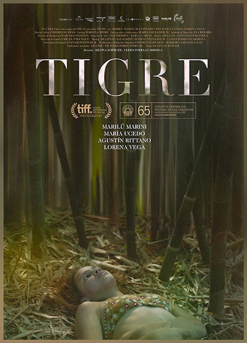 Tigre official trailer poster