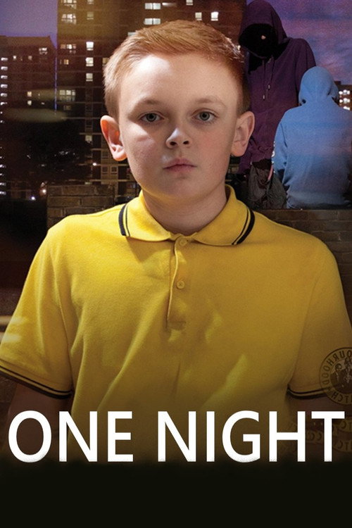 One Night official trailer poster