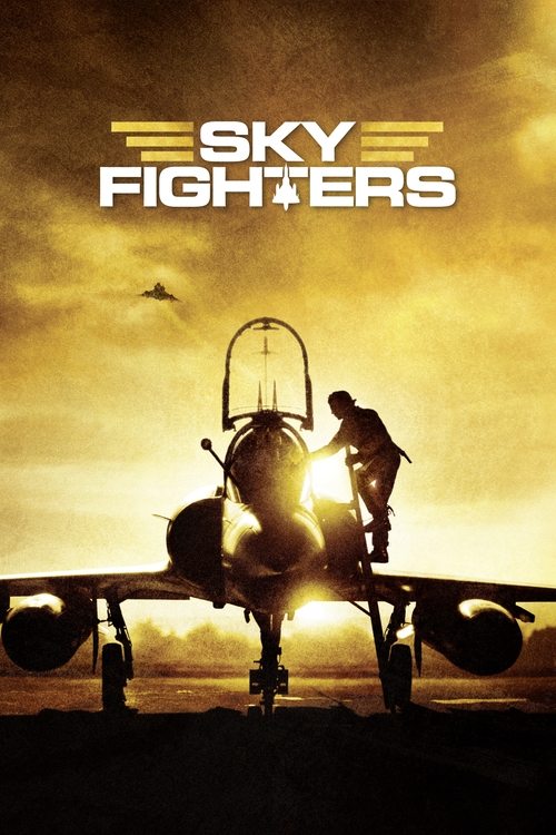 Sky Fighters official trailer poster