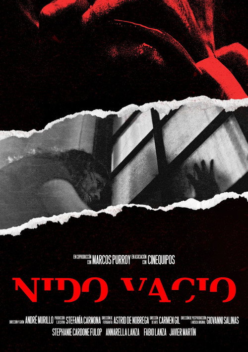 Empty Nest official trailer poster