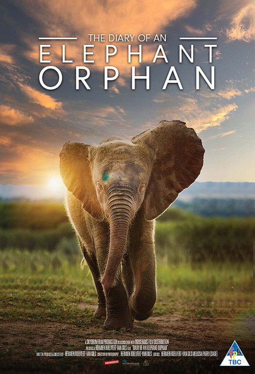 Diary of an Elephant Orphan official trailer poster