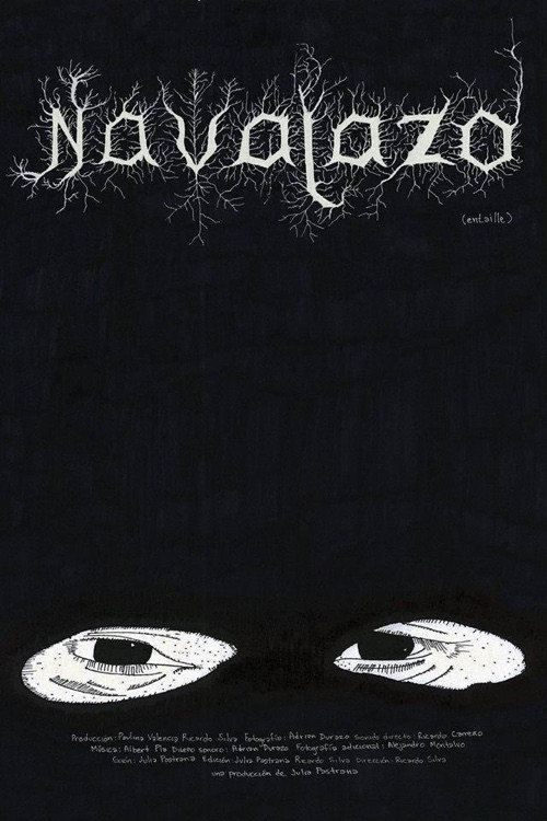 Navajazo official trailer poster