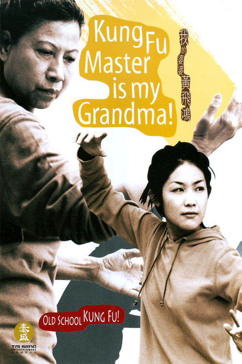 Kung Fu Master Is My Grandma! official trailer poster