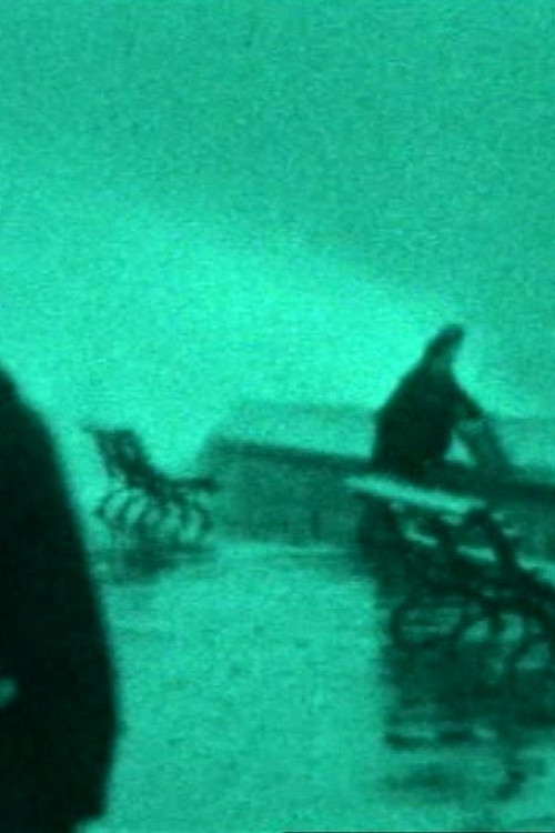 The Maelstrom: A Family Chronicle official trailer poster
