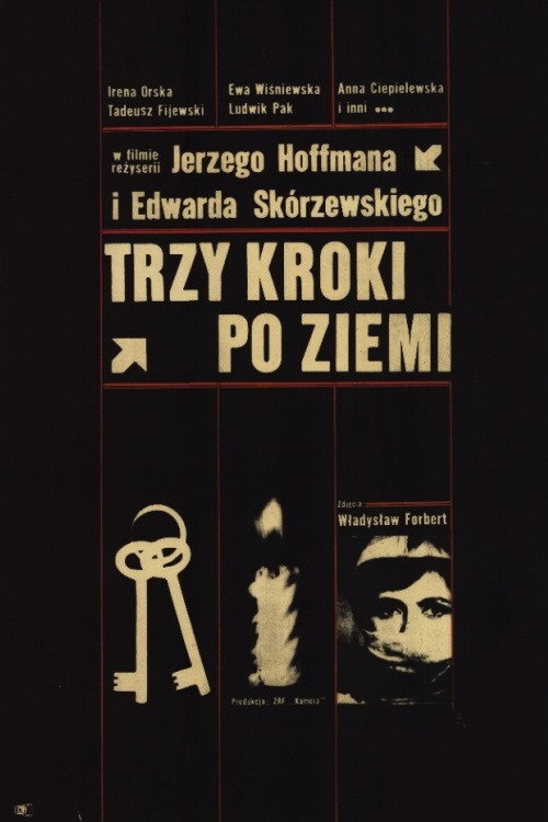Trzy kroki po ziemi official trailer poster