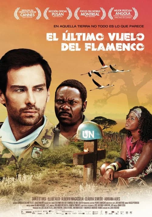 O Último Voo do Flamingo official trailer poster