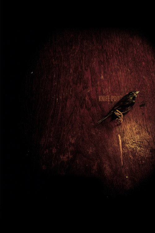 Knife Point official trailer poster