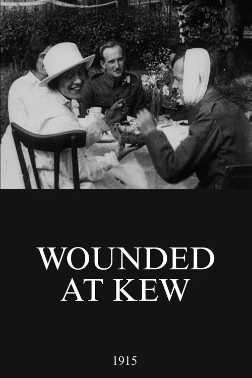 Wounded at Kew official trailer poster