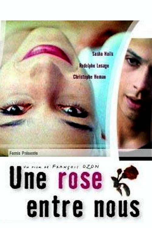 A Rose Between Us official trailer poster