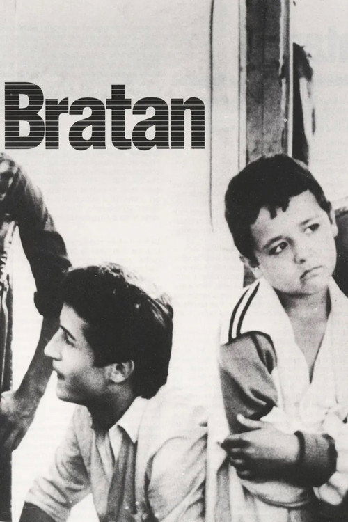 The Little Brother official trailer poster