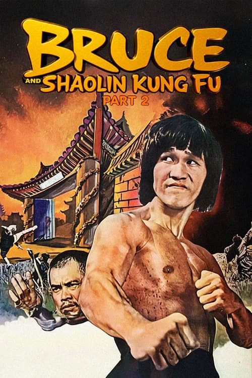 Bruce and Shaolin Kung Fu Part 2 official trailer poster