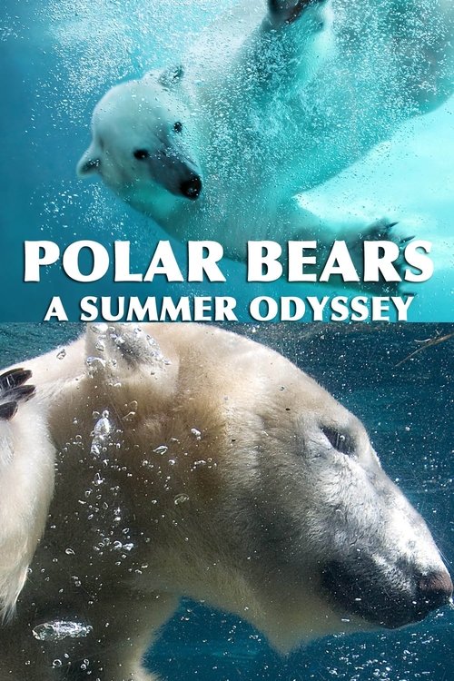 Polar Bears: A Summer Odyssey official trailer poster