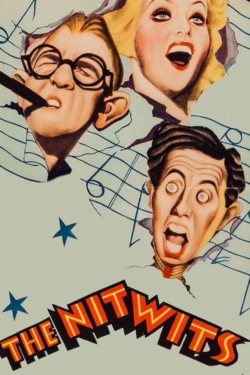 The Nitwits official trailer poster