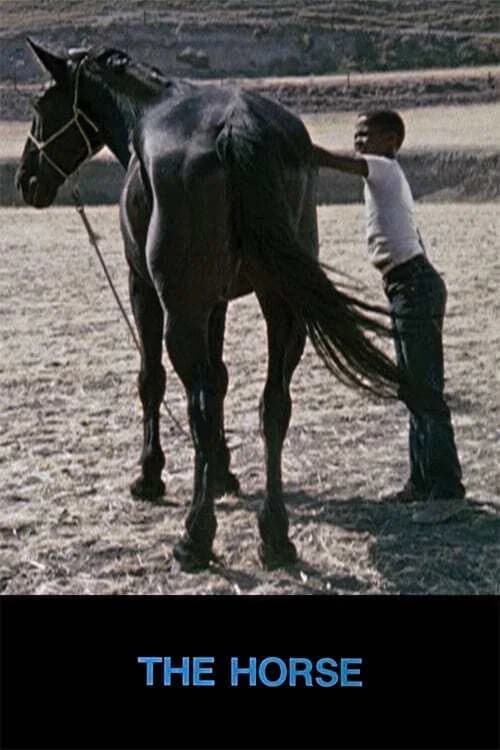 The Horse official trailer poster