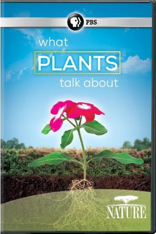 What Plants Talk About official trailer poster