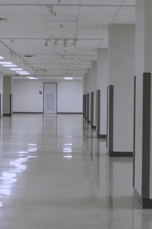 There is Nothing Underneath the West Virginia Wing official trailer poster