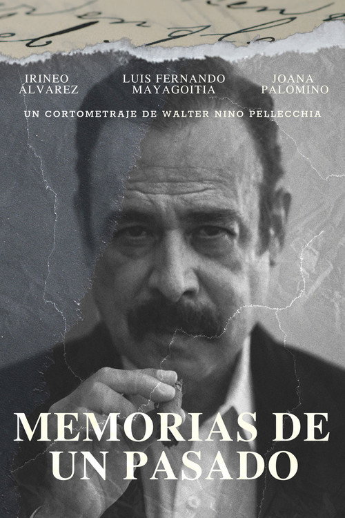 Memories of a Past official trailer poster
