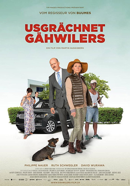 Meet The Gähwilers official trailer poster