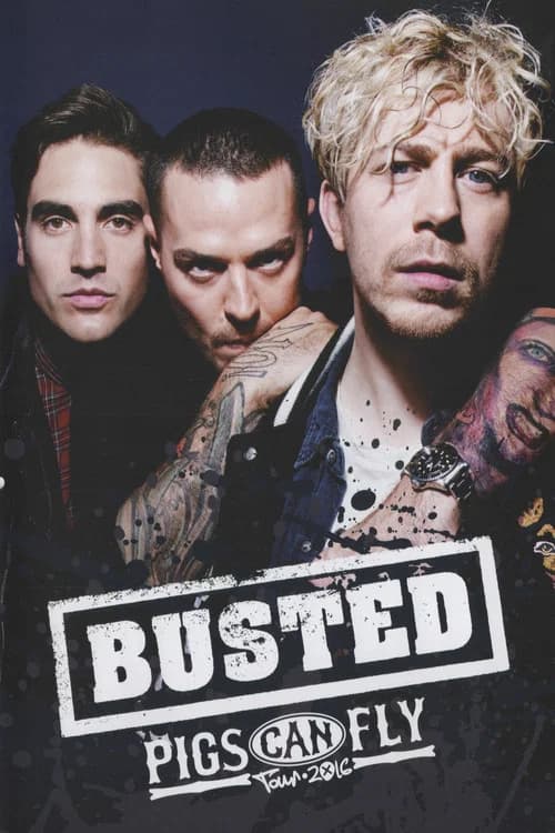 Busted: Pigs Can Fly Tour 2016 official trailer poster