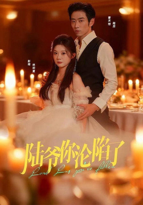 Falling for Mr. Lu official trailer poster