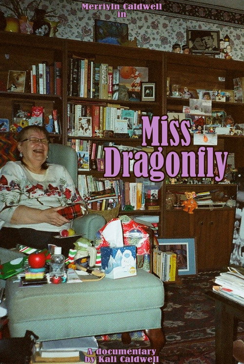 Miss Dragonfly official trailer poster