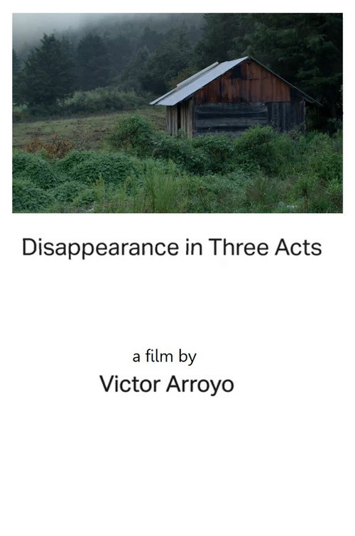 Disappearance in Three Acts | Act One official trailer poster