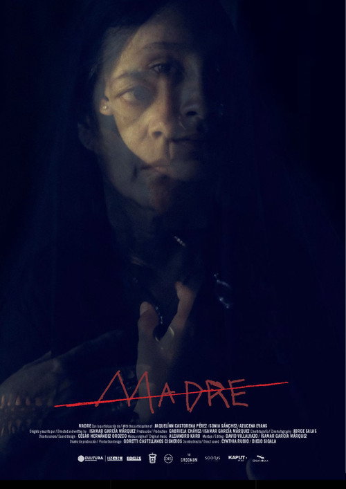 Mother official trailer poster