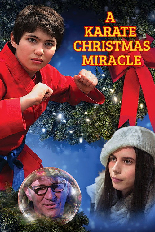 A Karate Christmas Miracle official trailer poster