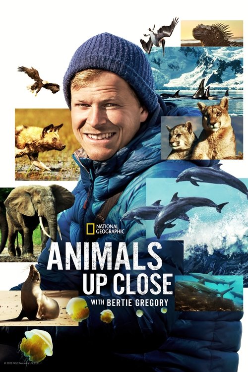 Animals Up Close with Bertie Gregory official trailer poster