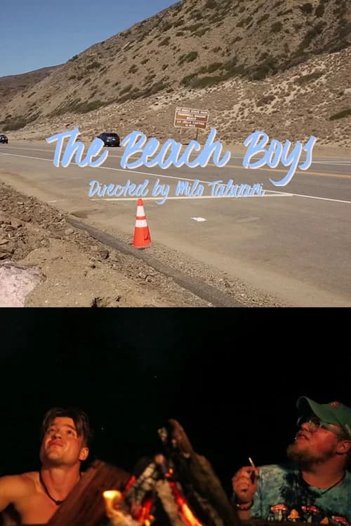 The Beach Boys official trailer poster