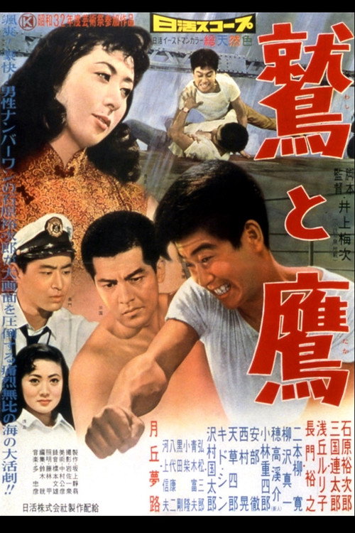 The Eagle and the Hawk official trailer poster