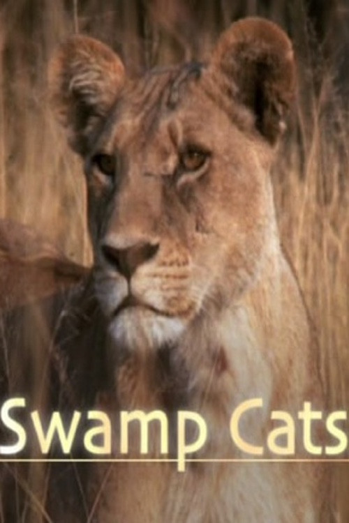 Swamp Cats official trailer poster