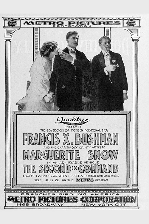 The Second in Command official trailer poster