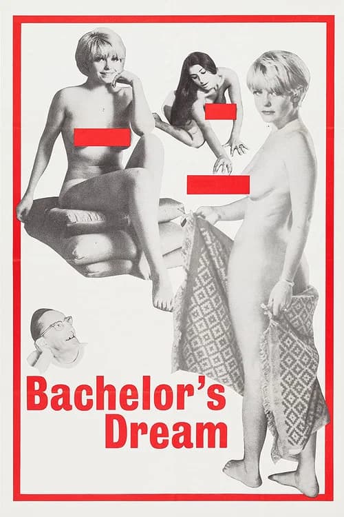 The Bachelor's Dreams official trailer poster