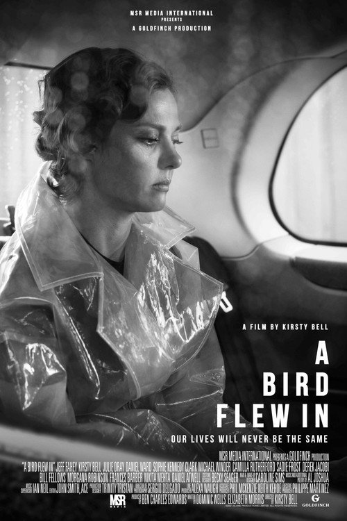 A Bird Flew In official trailer poster