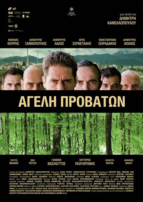 Pack of Sheep official trailer poster