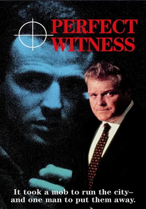 Perfect Witness official trailer poster
