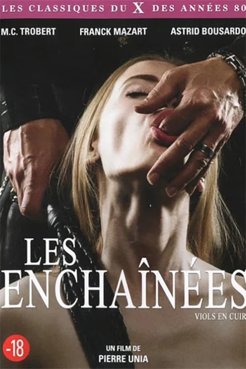 Viols en cuir, enchaînées de plaisir official trailer poster