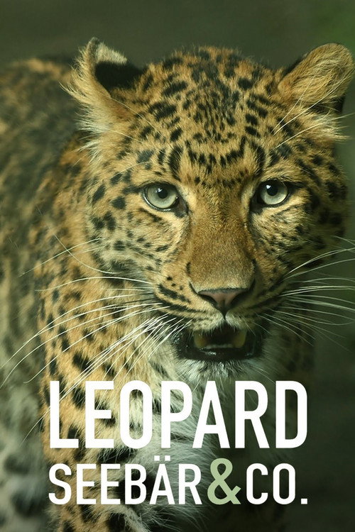 Leopard, Seebär & Co. official trailer poster