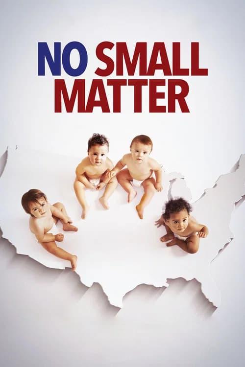 No Small Matter official trailer poster